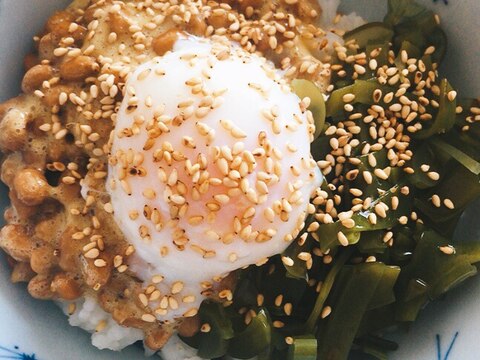 納豆とめかぶのネバネバ丼